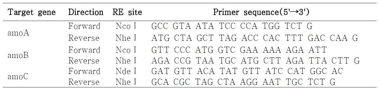 pET vector에 삽입할 유전자 증폭에 이용한 amo primers 서열
