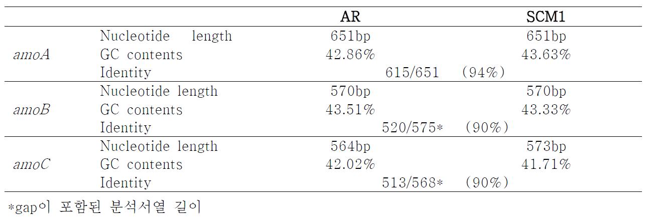 AR 로부터 얻은 amo 유전자 서열 분석 결과