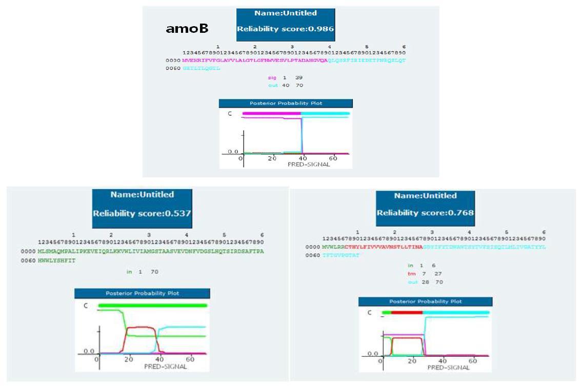 AR amo 내의 signal peptide 예측