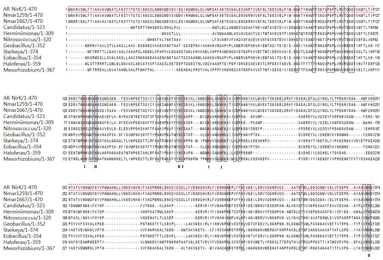 BlastP 를 이용해 선별한 Cu2+-containing nitrite reductase 의 다중정렬 서열분석