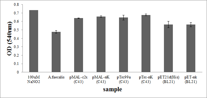 재조합 전세포 수준에서의 nitrite reductase assay 결과