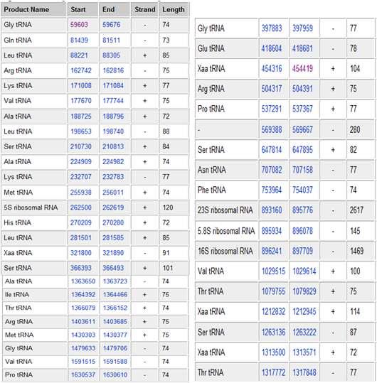 분석된 염기서열에서 확인된 전형적인 tRNA 의 종류