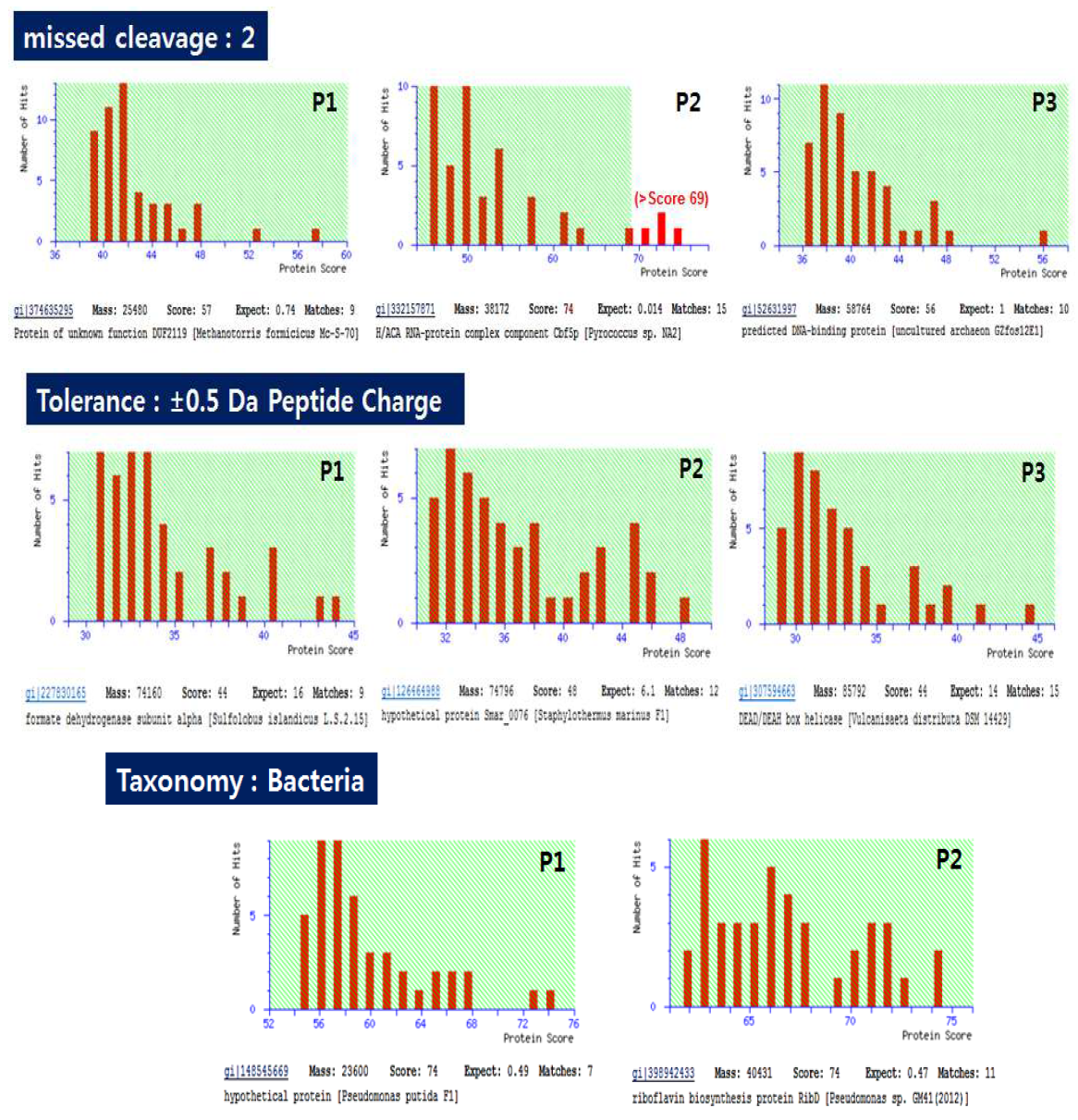 Mascot program의 다양한 매개변수에서 고체 배양 균주의 주요 단백질의 동정을 위한 분석 결과; 주요 단백질은 P1, P2, P3로 표시하였다