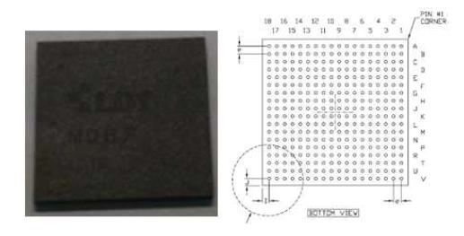 MDBS ASIC Chip & FBGA Ball Layout