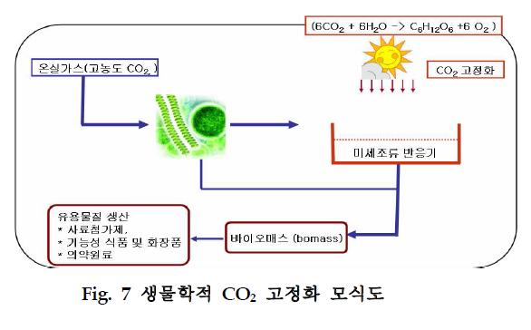 생물학적 CO2 고정화 모식도