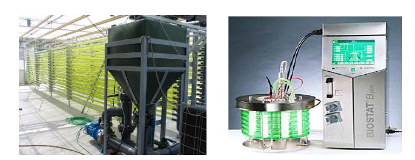 해외 연구팀에서 사용하고 있는 photobioreactor 및 시판되고 있는 photobioreactor 출처: International University Bremen(좌), BIOSTAT Co.(우)>