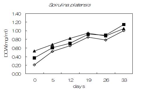 초기접종에 따른 Spirulina platensis 생장