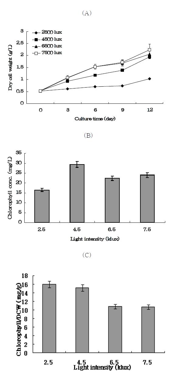 The influence of light intensity on (A) the growth, (B) chlorophyll concentration and (C) production of chlorophyll per dry cell weight of Spirulinaplatensis NIES 39.