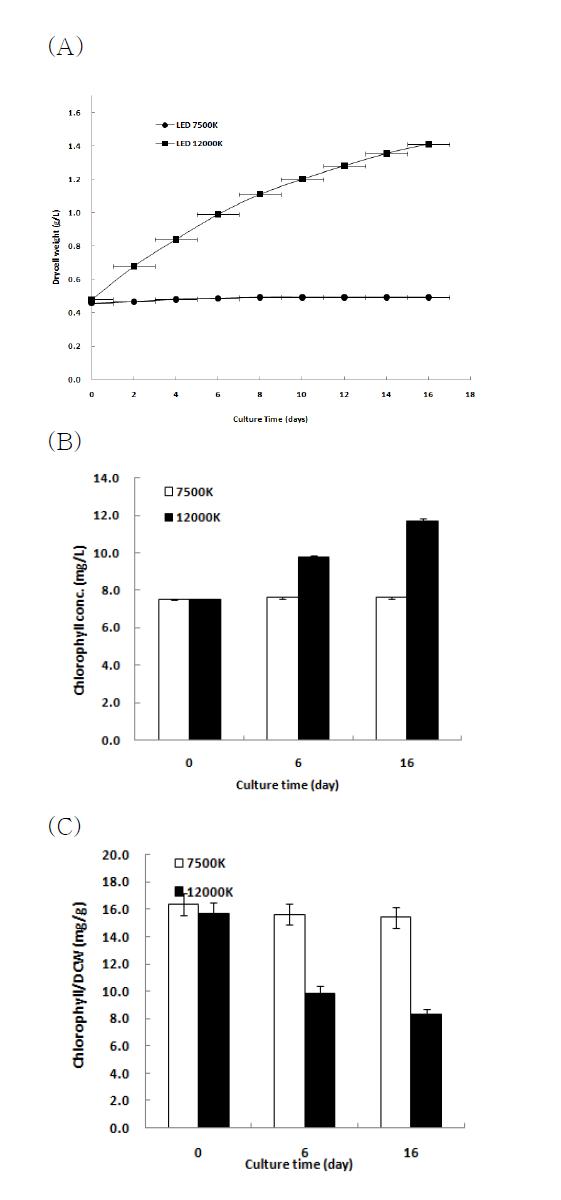 The influence of color temperature on the growth (A), chlorophyll concentration (B) and production of chlorophyll per dry cell weight(C) of Spirulina