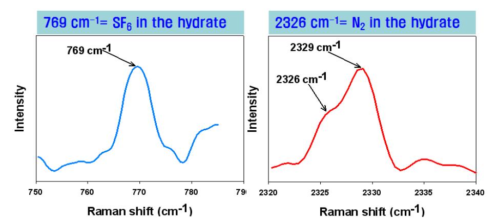 SF6/N2 hydrate의 라만 측정