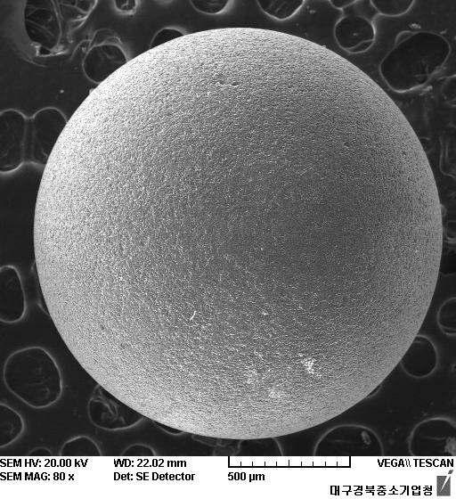 구형 실리콘 표면상태 SEM image(배율:80배)