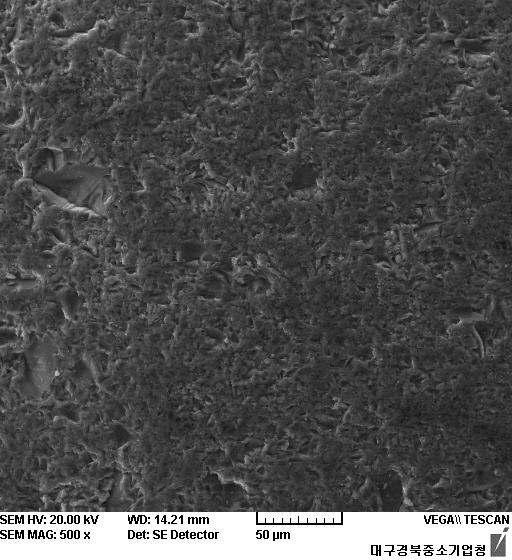 구형실리콘 표면상태 SEM Image(배율:500배)