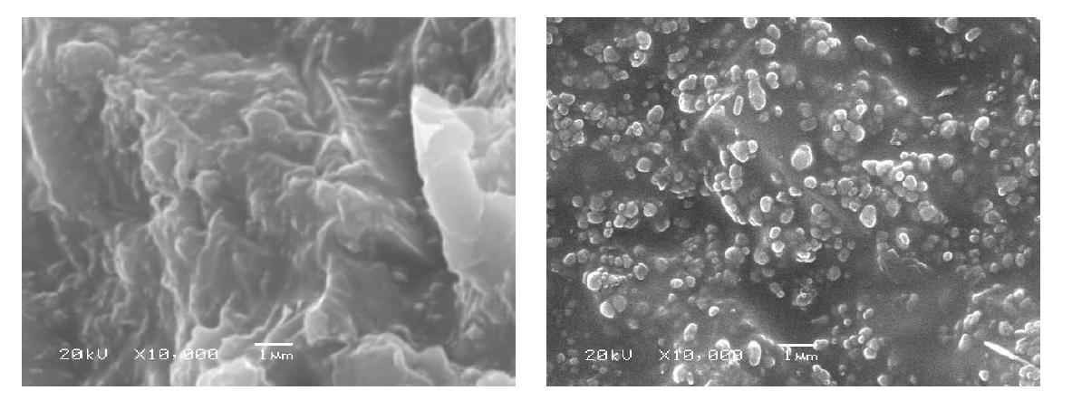 밀링 진행 전 비금속 광물 원료 슬러리(solid loading 30wt%) 건조 후 미세구조 분석 SEM image