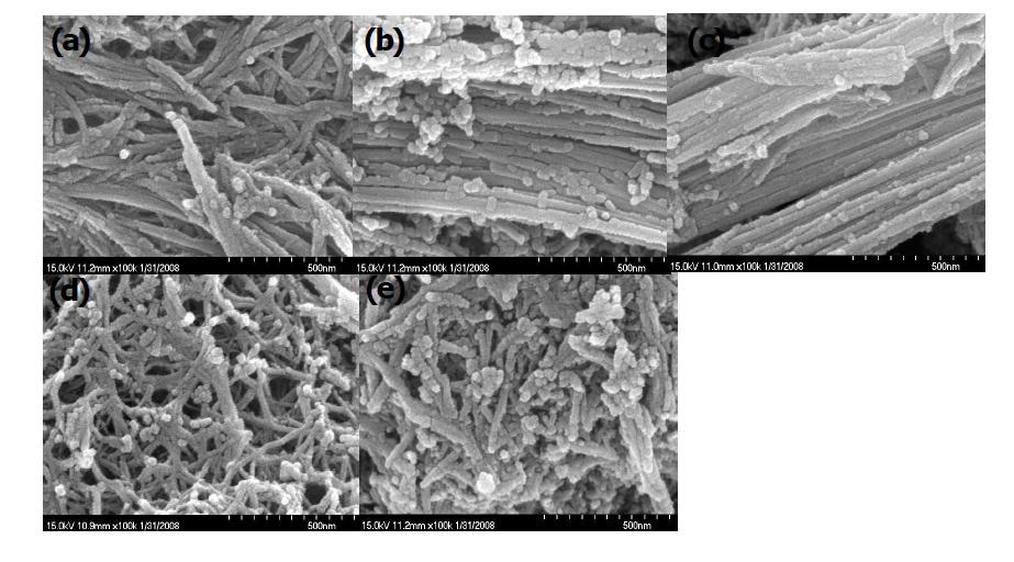 TiOCl2를 출발물질로 하여 만든 TiNT의 열처리 온도에 따른 SEM 측정 결과.