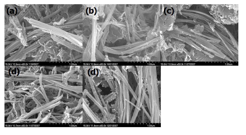 TiOCl2를 출발물질로 하여 만든 10 wt%W doped TiNT의 열처리 온도에 따른 SEM 관찰결과.