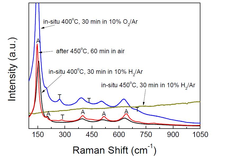 각기 다른 온도 및 분위기에서 열처리한 분말의 Raman 분석 결과.