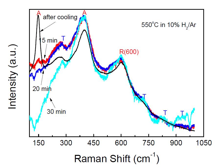 열처리 온도를 550 ℃로 유지한 후 다양한 분위기에서 측정한 티타네이트분말의 Raman 분석결과.