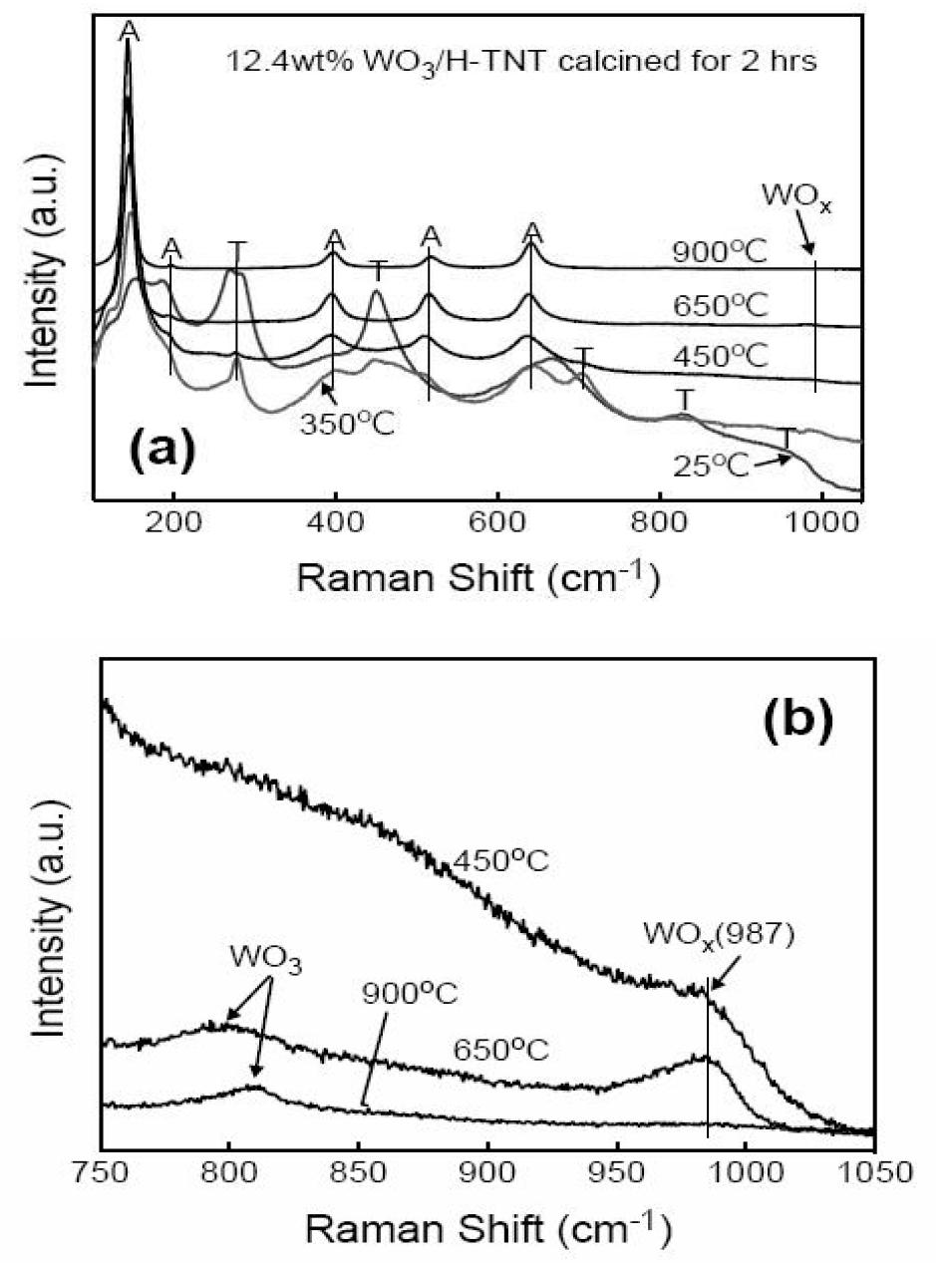 Tungsten이 첨가된 TiNT의 raman spectrum 결과.