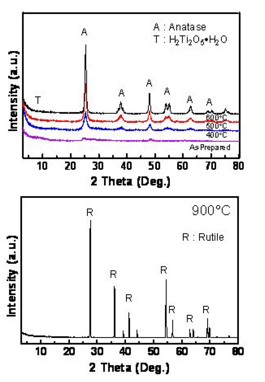 WO3과 V2O5이 첨가된 TiNT의 X-선 회절 시험 결과.