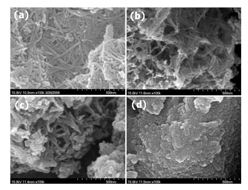 WO3과 V2O5이 첨가된 TiNT의 SEM 이미지 결과