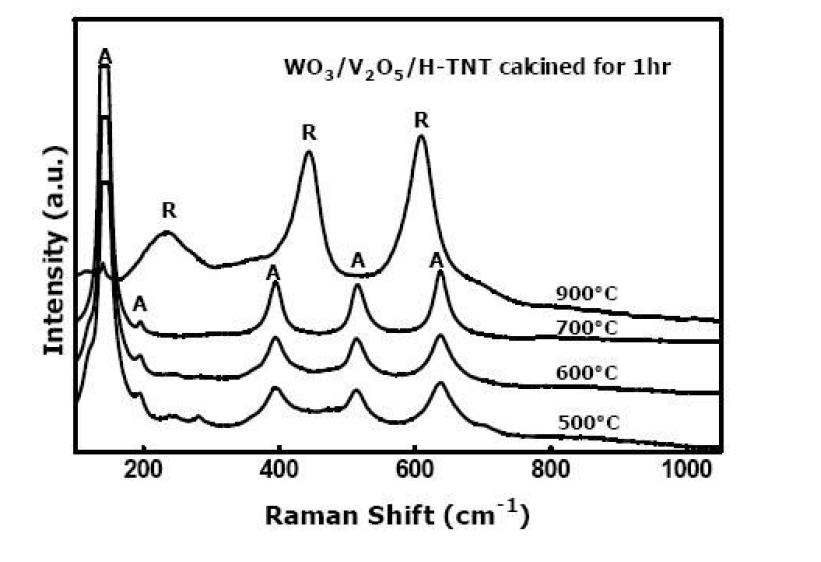 WO3과 V2O5이 첨가된 TiNT의 raman sprectrum 결과.