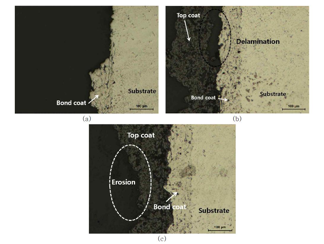 Micrographs showing the outer-side of coating specimen after IP-TMF test