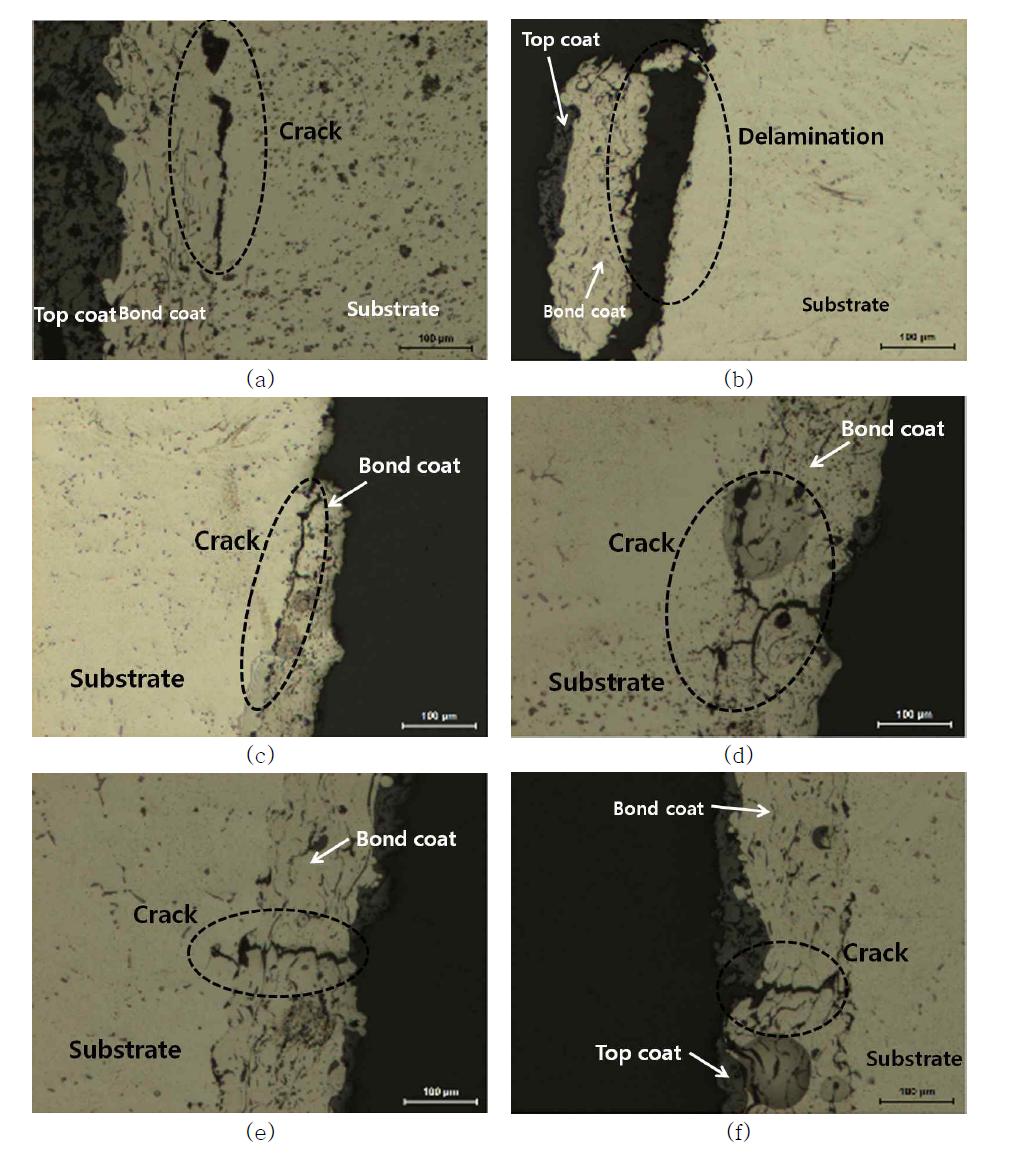 Micrographs showing the outer-side of coating specimen after OP-TMF test