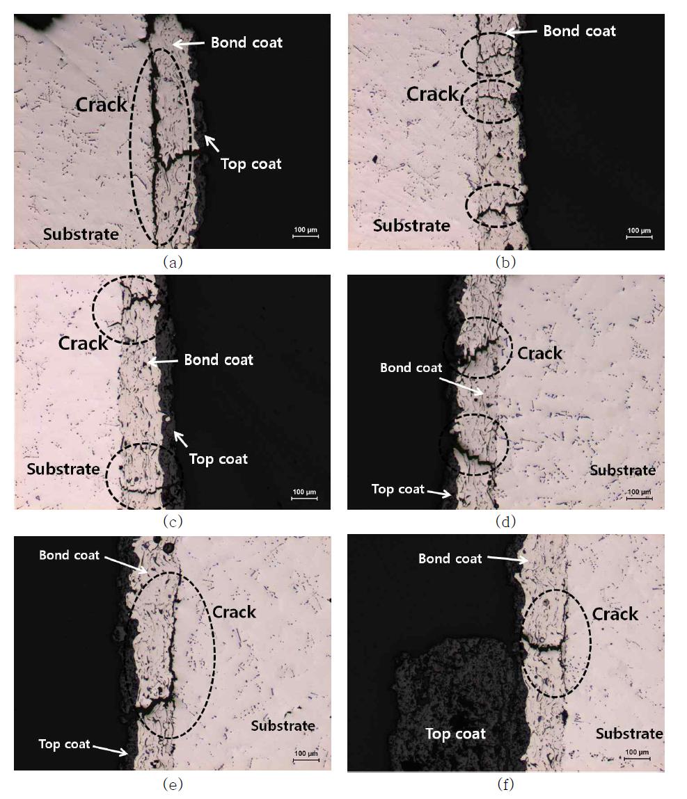 Micrographs showing the outer-side of coating specimen after OP-TGMF test (  )