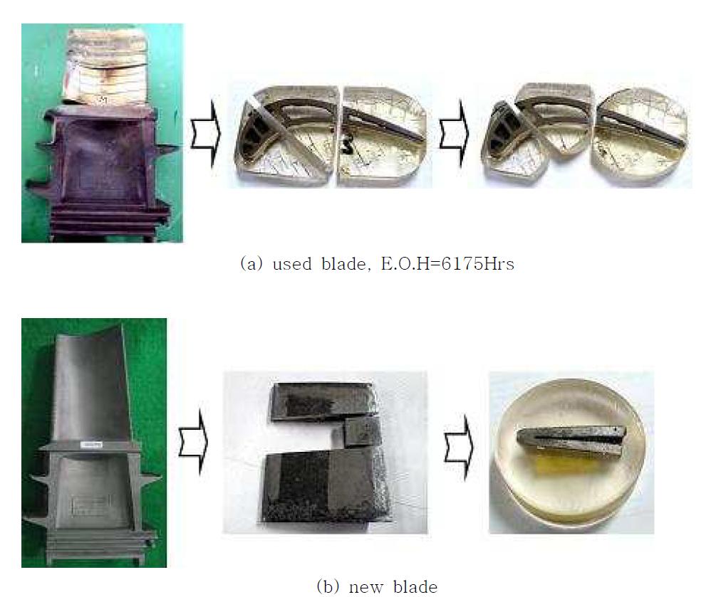 Specimen making process