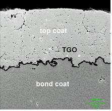 SEM micrograph of coating at the location of LE at used blade