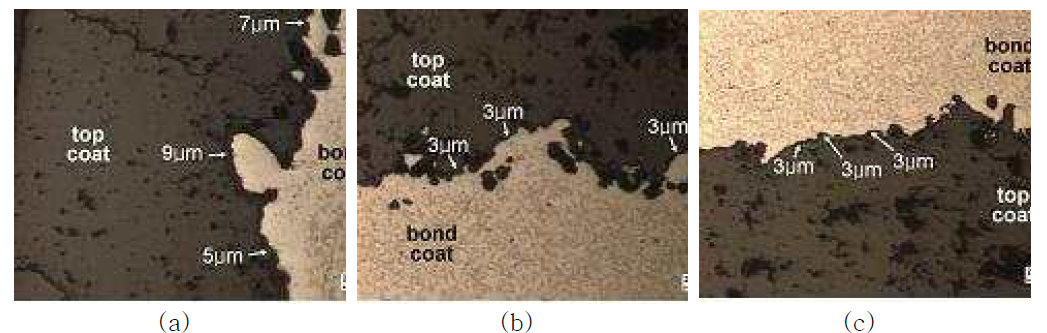 A micrograph showing TGO at the location of (a) LE (b) CC3 (c) CV6