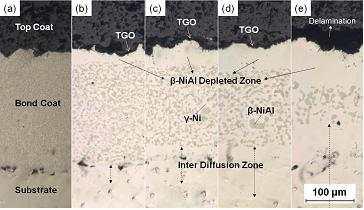 Micro-structural evolutions of TBC isothermally aged at 1,100℃ for (a) 0 h (b) 100 h (c) 200 h (d) 400 h (e) 800 h