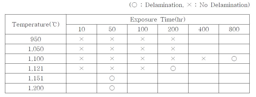 Result of microscopic analyses on delamination in the TBC