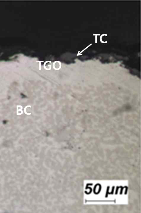 Micrograph showing delamination (at 1,151℃)