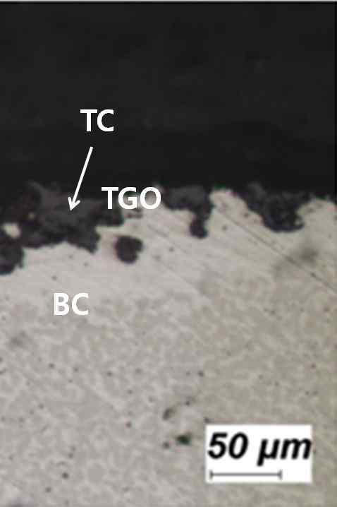 Micrograph showing delamination (at 1,121℃)