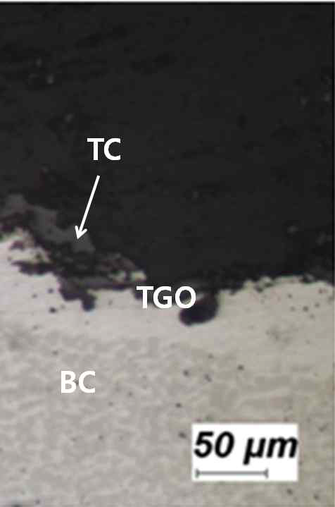 Micrograph showing delamination (at 1,100℃)