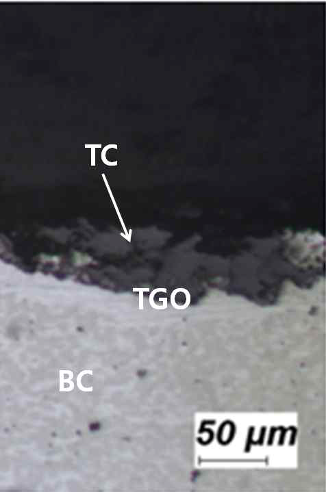 Micrograph showing delamination (at 1,050℃)