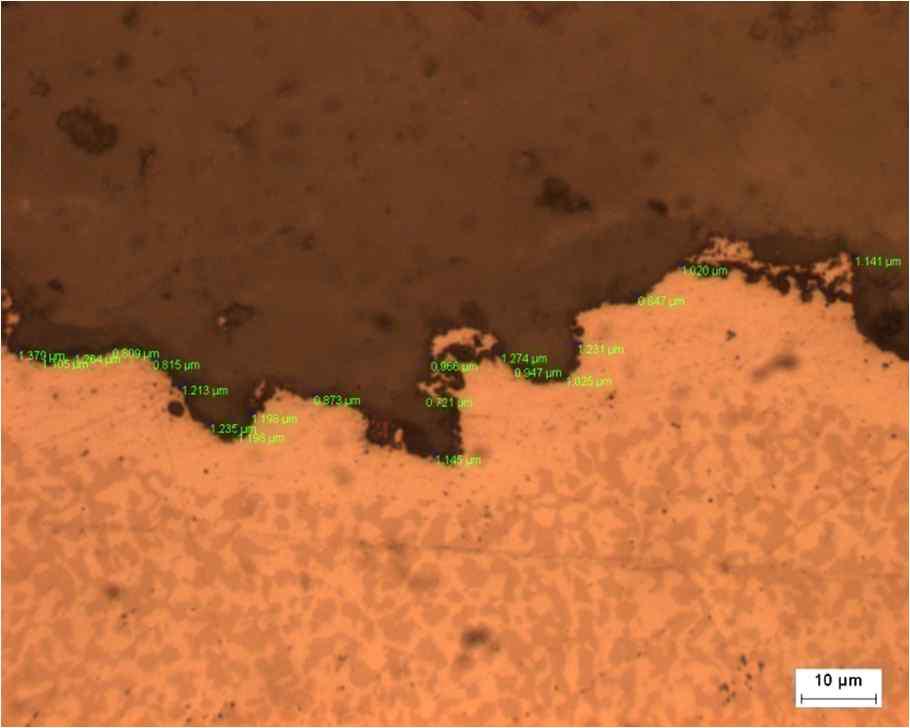 Micrograph showing TGO (5 cycle at 1,100℃)