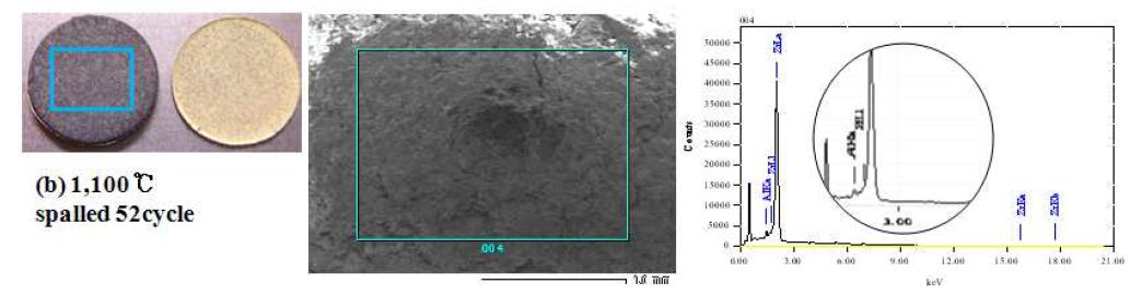 SEM image and composition of TBC spalled with thermal fatigue at 1,100℃