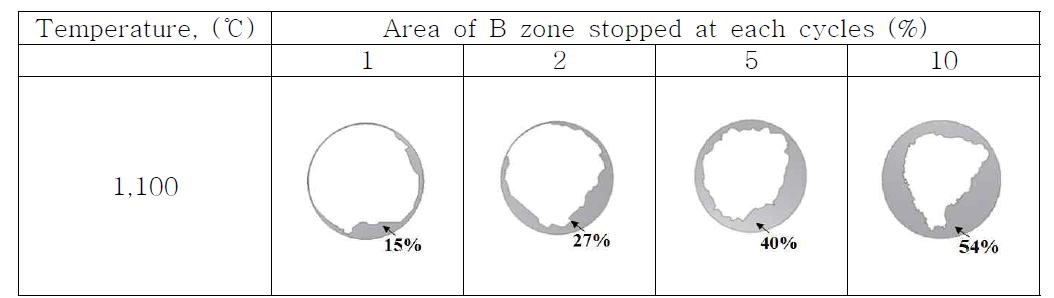 Results of area of B zone by image analysis