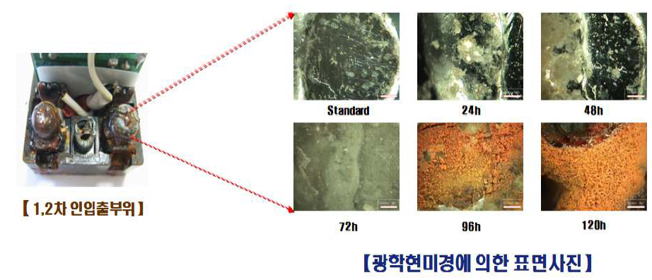 누전차단기 내부단자의 염수분부시간 따른 표면사진