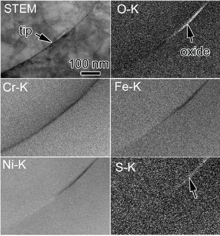 STEM/EDS maps of crack tip #1 in Alloy 600 nozzle showing ~1wt.% S to the end of oxide and Ni enrichment in metal ahead of a crack tip.