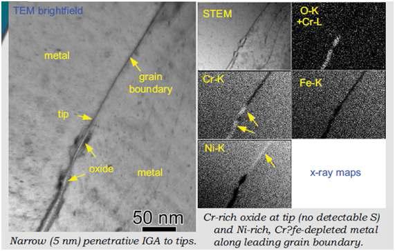 ATEM analysis of the crack tip in MA Alloy 600 steam generator tube