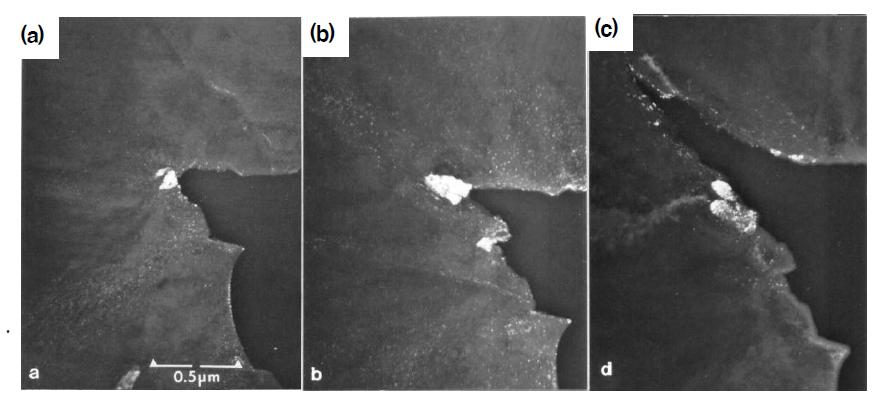 (a) Nucleation of hydrides at a crack, (b) growth of hydrides and (c) growth of a crack by the cracking of hydrides grown to the critical length.