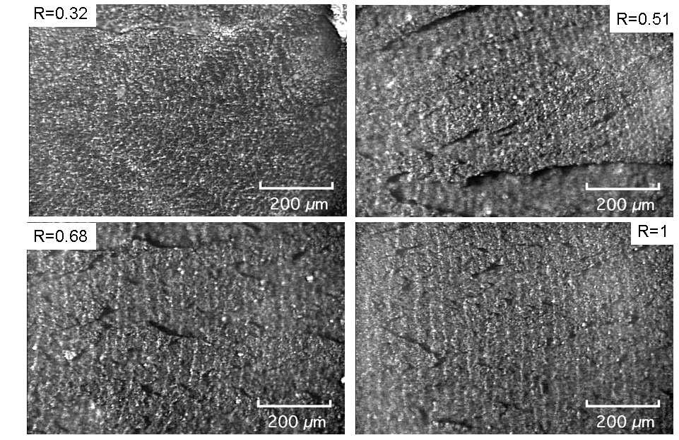 Striations with the load ratio, R on the fracture surfaces of the heat-treated Zr-2.5Nb tubes after DHC tests at 250oC: (a) R=0.32, (b) R=0.51, (c) R=0.68, and (d) R=1.0.