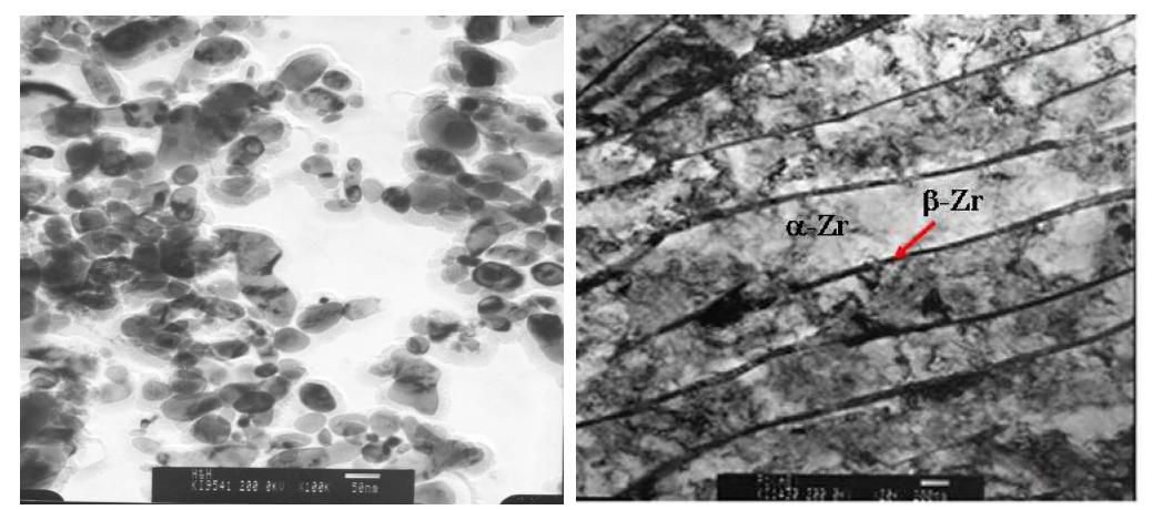 the distribution of the β-Zr phase in Zr-2.5Nb tubes with the location: (a) fully discontinuous β-Zr phase due to thermal decomposition and (b) fully continuous β-Zr phase.