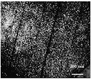 Absence of γ΄ precipitates in the slip bands in aged A286 stainless steel after fatigue deformation to over 100 cycles at RT with R=-1.