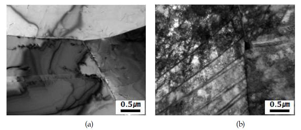 TEM micrographs of a 316L stainless steel used in this work: (a) solution-annealing and water-quenching, (b) 20% cold-working.