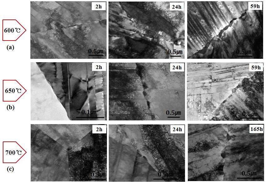Microstructural evolution of 20% cold-worked 316L austenitic stainless steel annealed at (a) 600℃, (b) 650℃ and (c) 700℃.