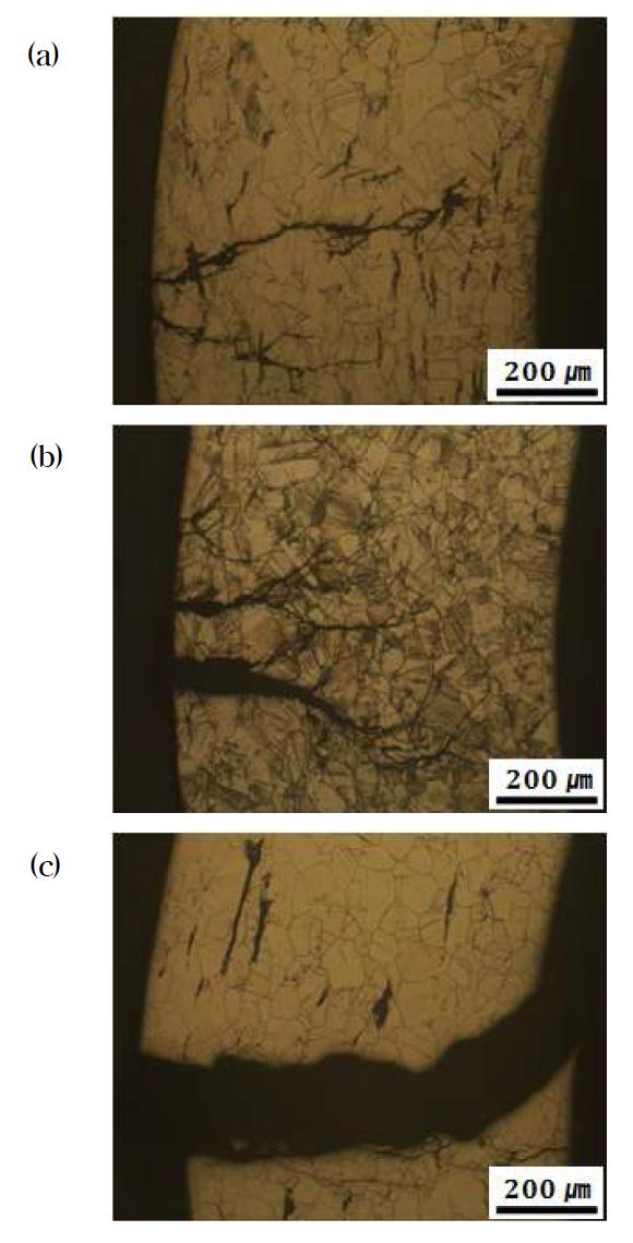 Crack growth pattern of the heat-treated 316L stainless steel at 650oC for (a) 2h, (b) 24h and (c) 59h.